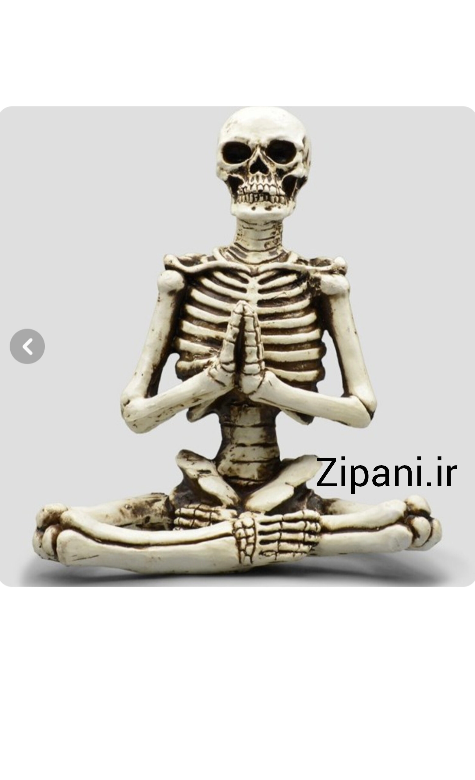 مجسمه مدل اسکلت یوگا کد y7